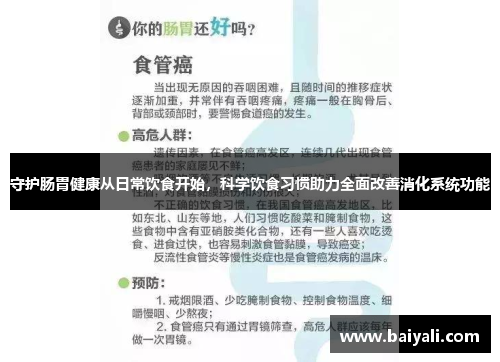 守护肠胃健康从日常饮食开始，科学饮食习惯助力全面改善消化系统功能